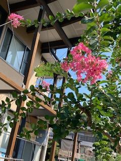 IMG_4405.jpeg