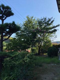 IMG_4431.jpeg